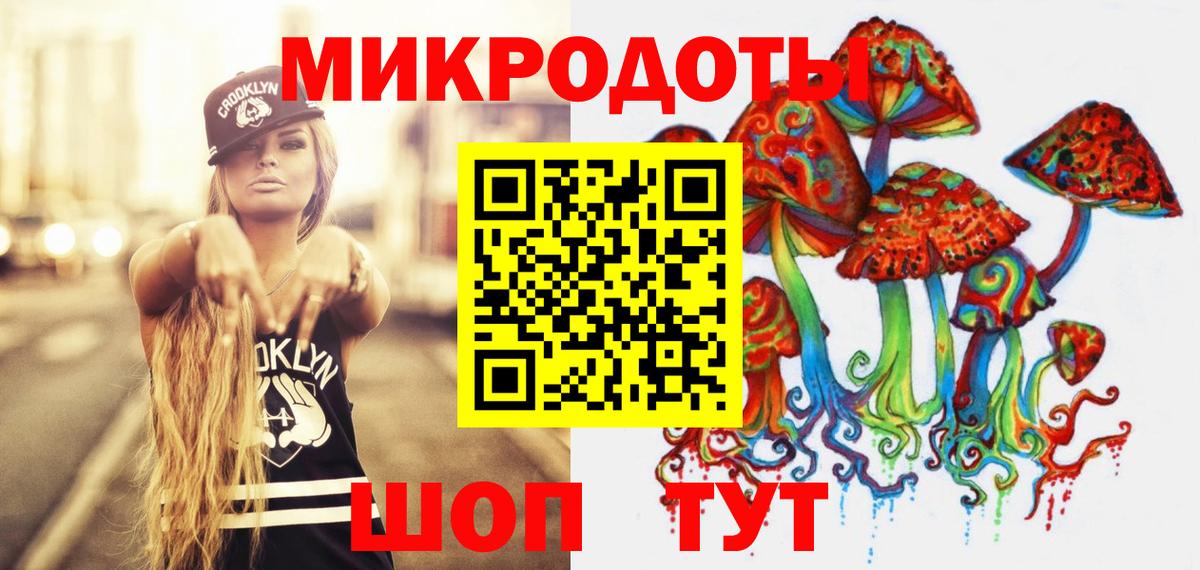Псилоцибиновые грибы Psilocybe Сосновоборск