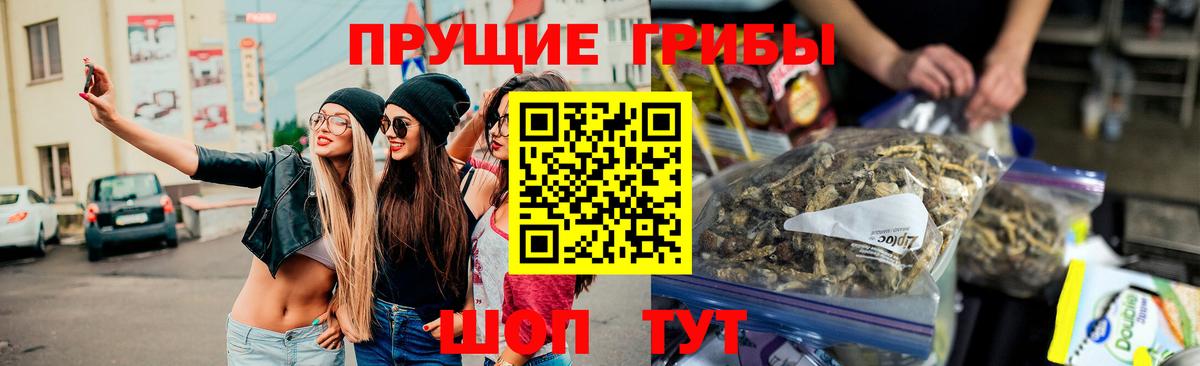 Сосновоборск  Галлюциногенные грибы Psilocybe  Вход с VPN 